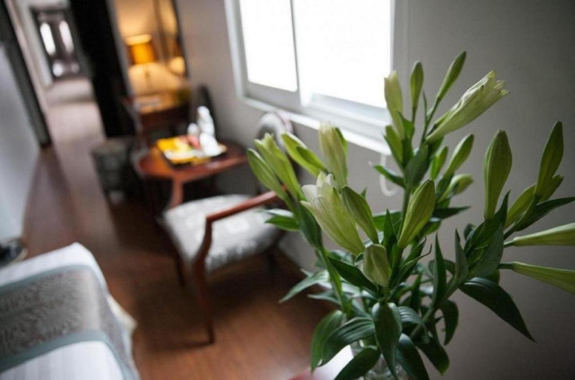 Skylark Boutique Hotel Hanoi Eksteriør billede